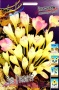 8984a428-a78f-11df-b91e-0019dbe91ea3-2