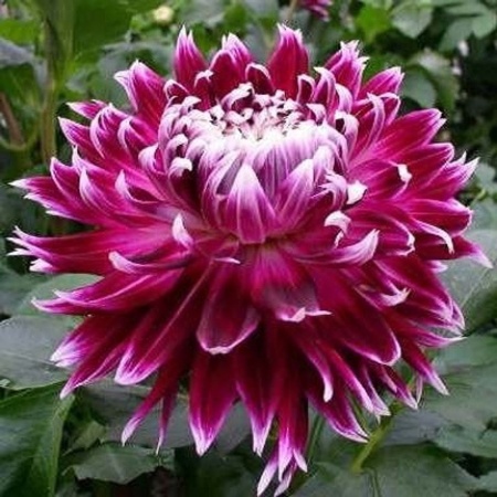 f46f6fcc-2ea6-11e0-9fb4-00500454e615-1