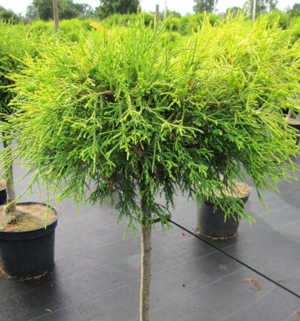 8fc8abc3-d1e1-11f0-891e-246e9611e8f6-1