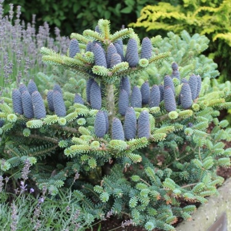 2f1e3c0c-e5dd-11ee-890a-246e9611e8f5-1