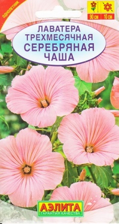 a3615625-98e7-11e2-8061-00500454e615-2