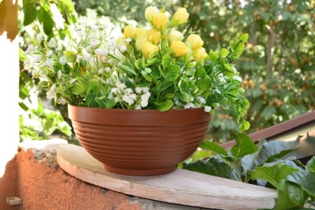 ca994acc-58d0-11ed-aea3-001e673ebdea-1