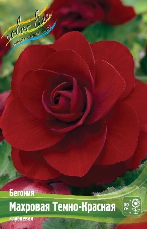 6eae45bc-3740-11eb-b90a-005056c00008-1