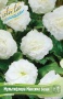 3edf6353-b449-11ee-8bd7-001e673ebdea-1