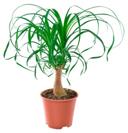 2b4968ff-d22f-11ee-890a-246e9611e8f5-1