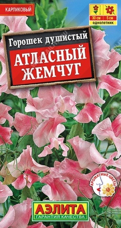4883604a-465e-11df-84eb-002354cb09e1-1