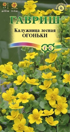 637838ee-e826-11ea-86cc-005056c00008-1