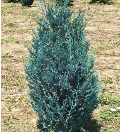 4305e786-d1ec-11f0-891e-246e9611e8f6-1