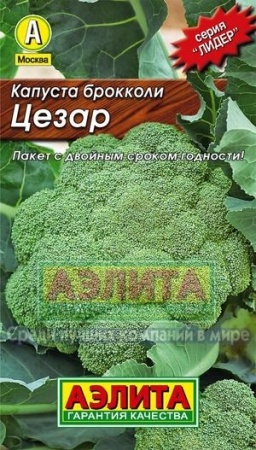 f33de515-982d-11e2-8061-00500454e615-1