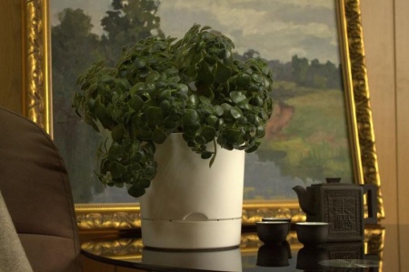 14eb3032-da60-11f0-891e-246e9611e8f6-1