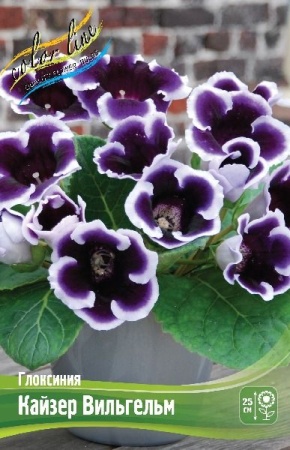 ecef0204-3740-11eb-b90a-005056c00008-1