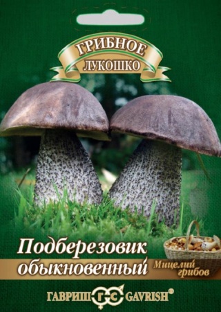 c576eb7e-1e94-11e3-8fce-00500454e615-1