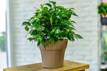 5e922230-5684-11ed-aea3-001e673ebdea-1