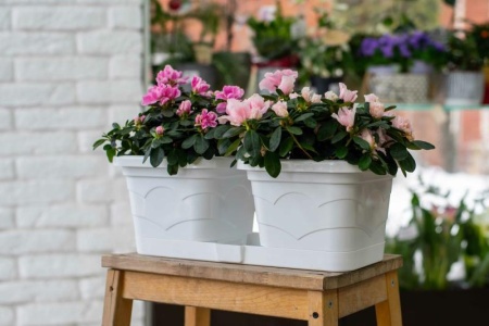 8ee0c4d0-5915-11ed-aea3-001e673ebdea-1