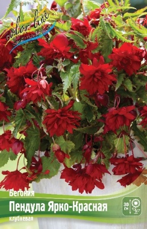 4820b0fa-721d-11ed-be6f-001e673ebdea-1