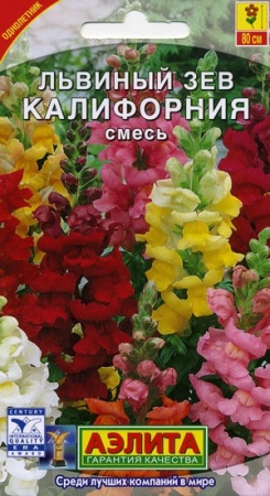 834cf2ba-dcea-11dd-9138-00500454e615-2