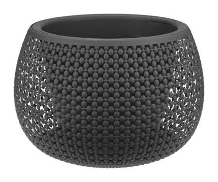 1eea7a1b-978a-11eb-93b3-005056c00008-1