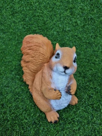 ea02a0b5-1142-11f0-8918-246e9611e8f6-1