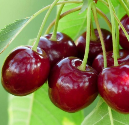 d421d7c6-cc0c-11ef-8915-246e9611e8f5-1