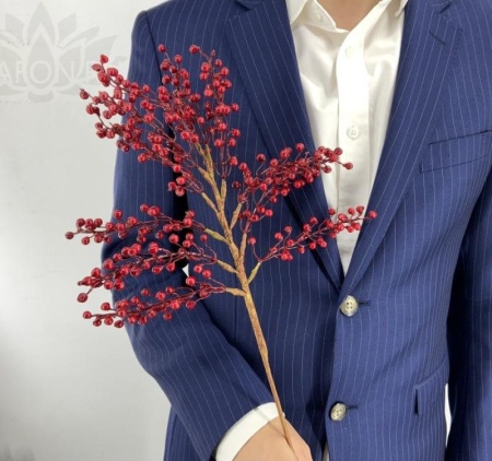 3366f917-cab6-11f0-891e-246e9611e8f6-1