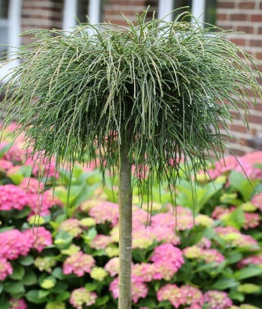 cb818b48-43d5-11e8-8910-005056c00008-1