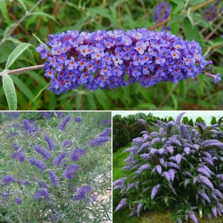 2b1ec66d-bc05-11e3-aae1-001e673ebde8-1