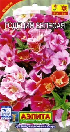 70f41b59-dcea-11dd-9138-00500454e615-2