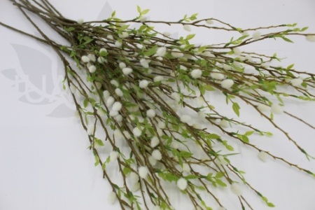 7tuko4hmycpg96gjtp148eg3dyj19mf5