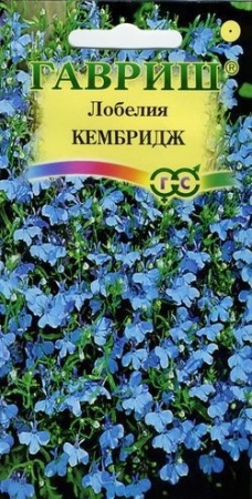 ed99eaee-f6ec-11e7-b46d-005056c00008-1