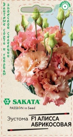 445cb4ea-3611-11ea-96f6-005056c00008-1