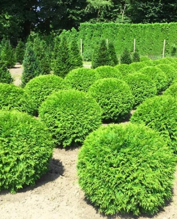 ff9615a9-ecdb-11ee-890b-246e9611e8f5-1