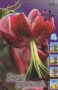 1c2354cf-675f-11ed-bd4c-001e673ebdea-1