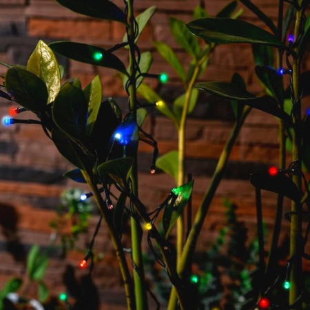 ecd3b3a4-2fbb-11ef-890e-246e9611e8f7-1