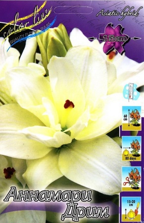 b2abf88f-6752-11ed-bd4c-001e673ebdea-1