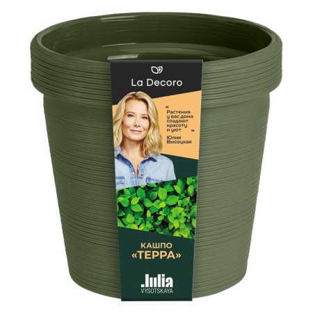 6cc81d2c-dafc-11ef-8915-246e9611e8f5-1