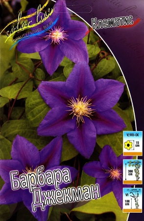 6b950119-2ce2-11df-a2b0-00235435134b-1