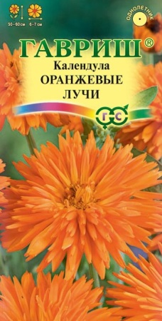 7757a8a7-dcea-11dd-9138-00500454e615-1