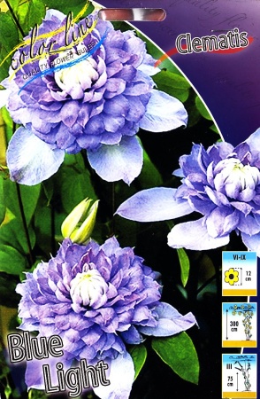 6b95011f-2ce2-11df-a2b0-00235435134b-1