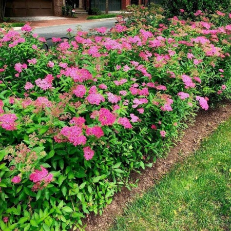 a67b6024-113c-11f0-8918-246e9611e8f6-1