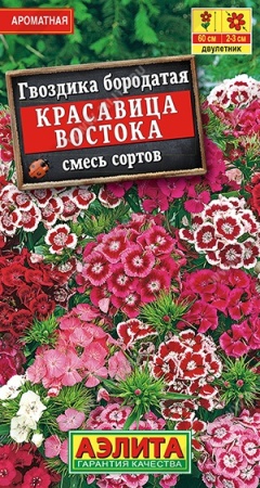 00996a93-e917-11e0-9ebd-00500454e615-1