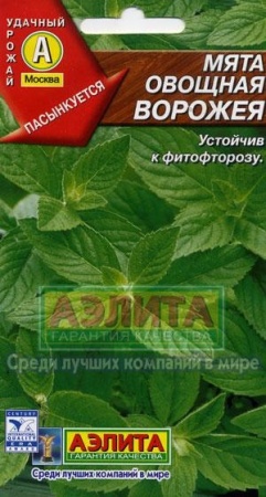 8949f9c9-dcea-11dd-9138-00500454e615-2