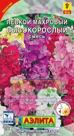 2cca2278-5708-11e1-89d7-00500454e615-2