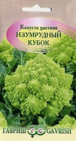 579d7c19-e2ad-11df-b975-0019dbe91ea3-2