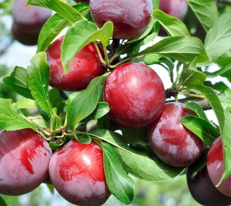 800f49e2-cc09-11ef-8915-246e9611e8f5-1