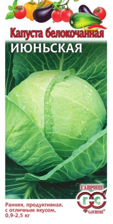 916c9371-a376-11e8-9ac1-005056c00008-1