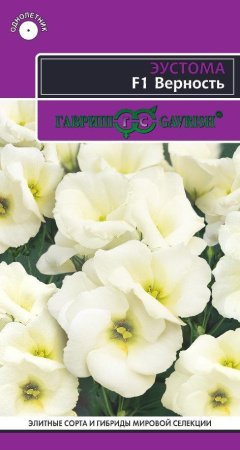 acac5cbf-4246-11e9-b36c-005056c00008-2