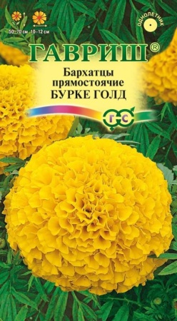 1e9b92f5-c608-11de-87ad-0019dbe91ea3-1
