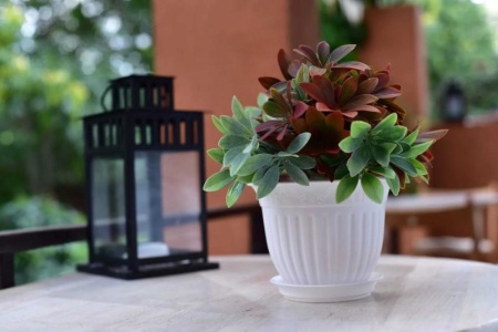 84c12fe1-5669-11f0-891a-246e9611e8f6-1