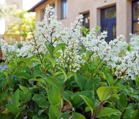 992c44ef-1145-11f0-8918-246e9611e8f6-1