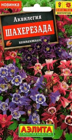 3a8729da-0ffd-11e8-9960-005056c00008-1